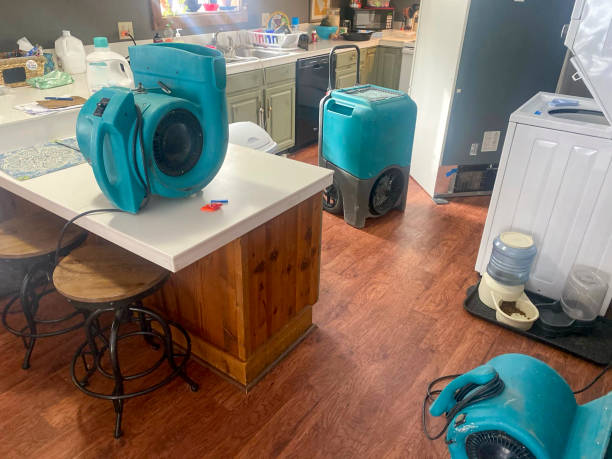 Best Water damage restoration experts  in Concord, CA